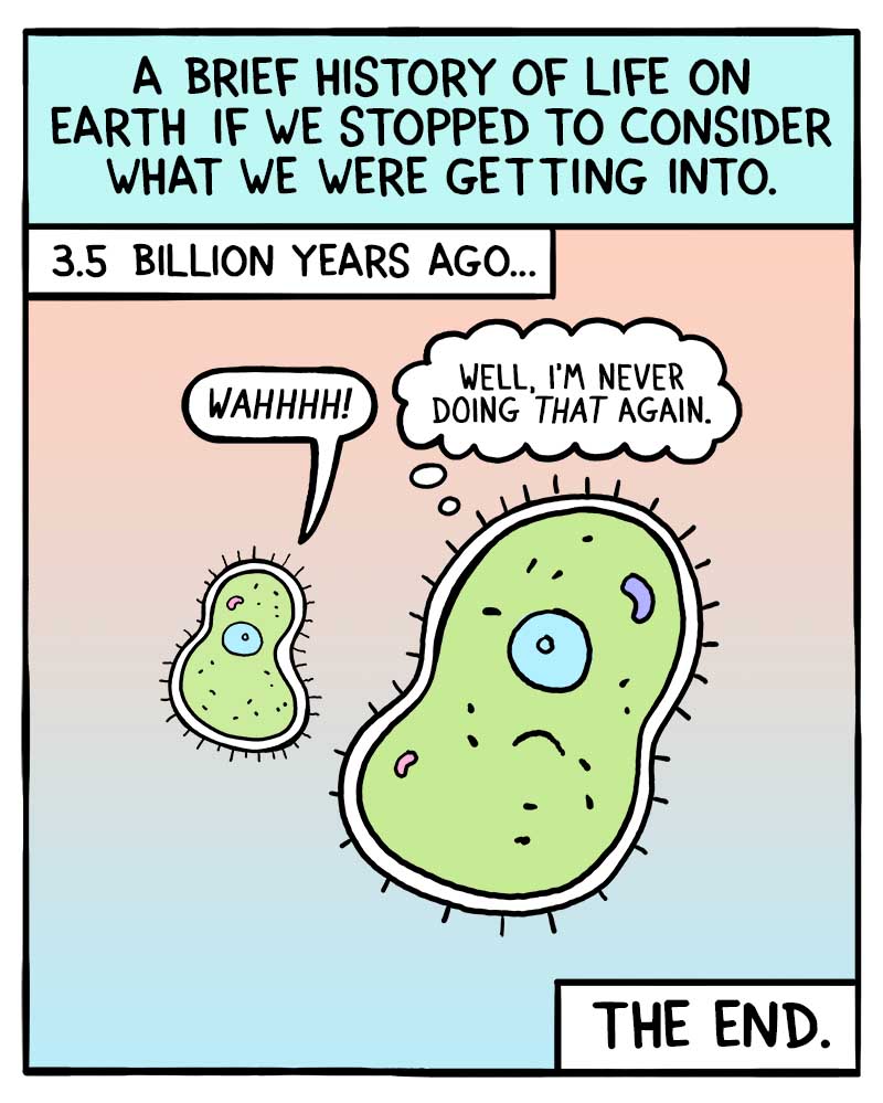 https://cdn.tinyview.com/fowl-language/2022/11/14/a-brief-history-of-life/brief-history-of-life.jpg