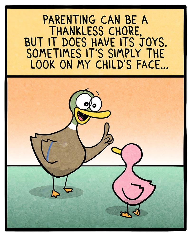 https://cdn.tinyview.com/fowl-language/2022/11/16/simple-pleasures/simple-pleasures-1.jpg