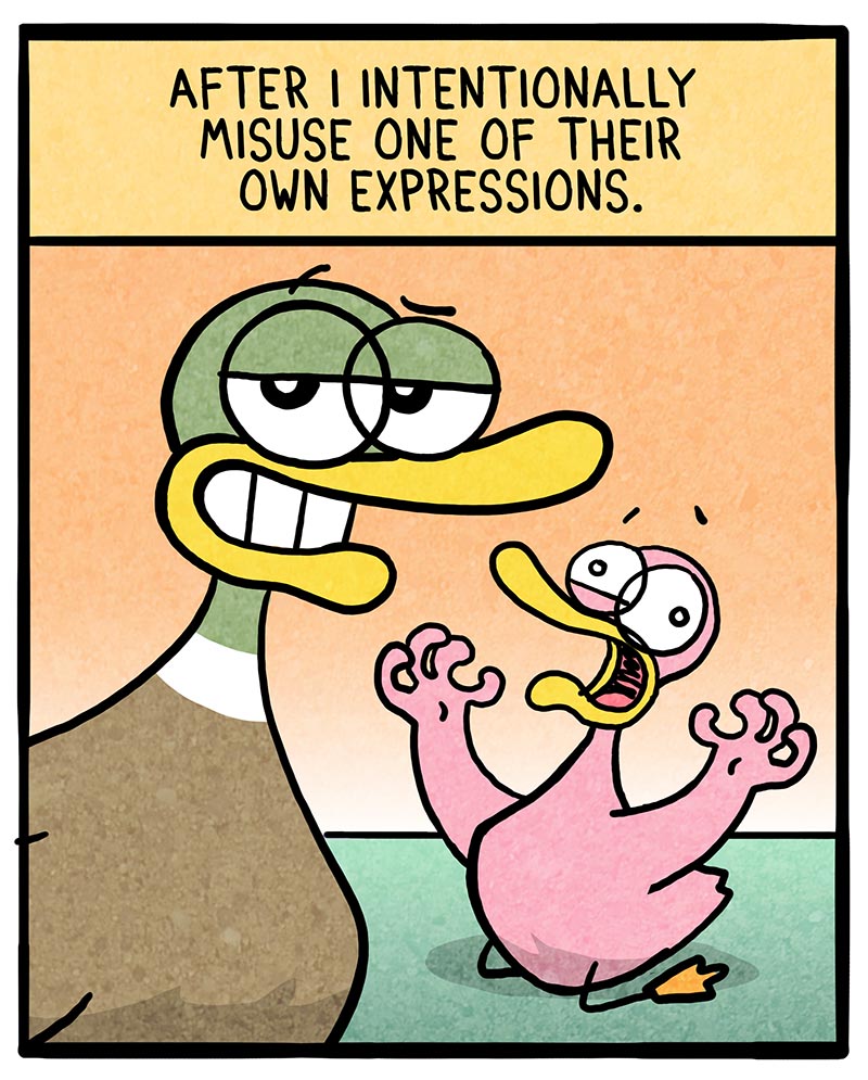 https://cdn.tinyview.com/fowl-language/2022/11/16/simple-pleasures/simple-pleasures-2.jpg