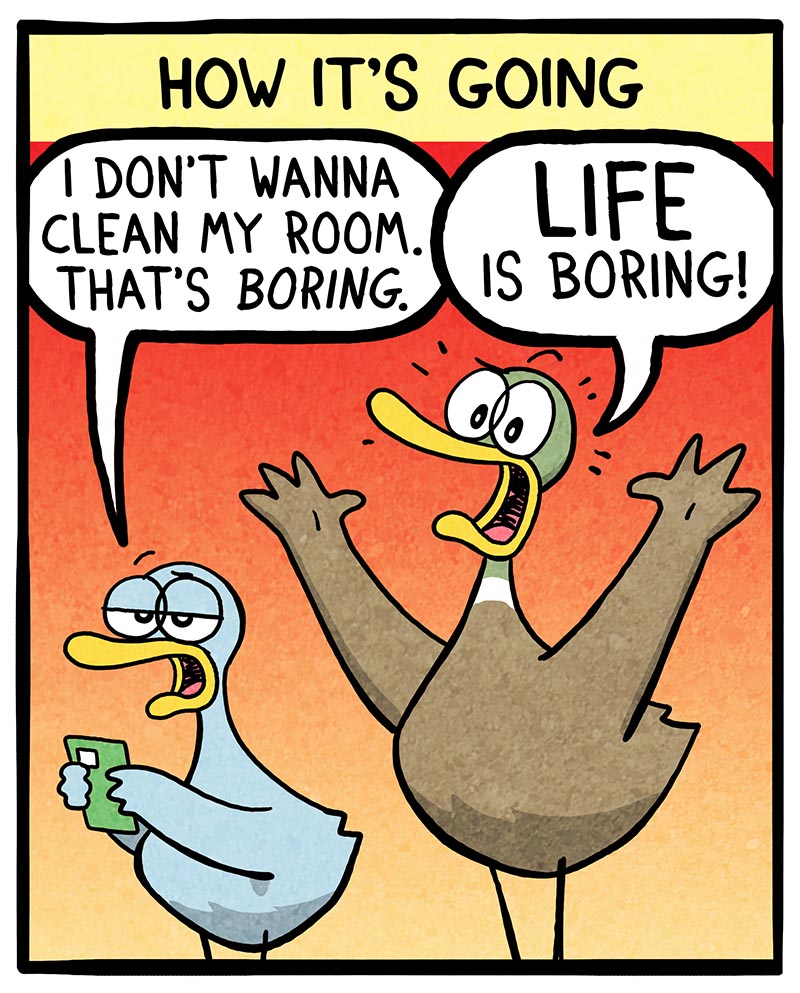 https://cdn.tinyview.com/fowl-language/2022/11/18/dreams/dreams-2.jpg