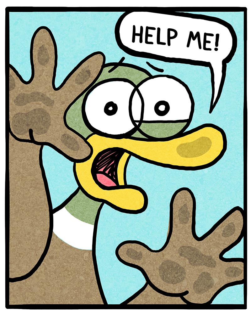 https://cdn.tinyview.com/fowl-language/2023/01/11/worth-it/worth-it-4.jpg