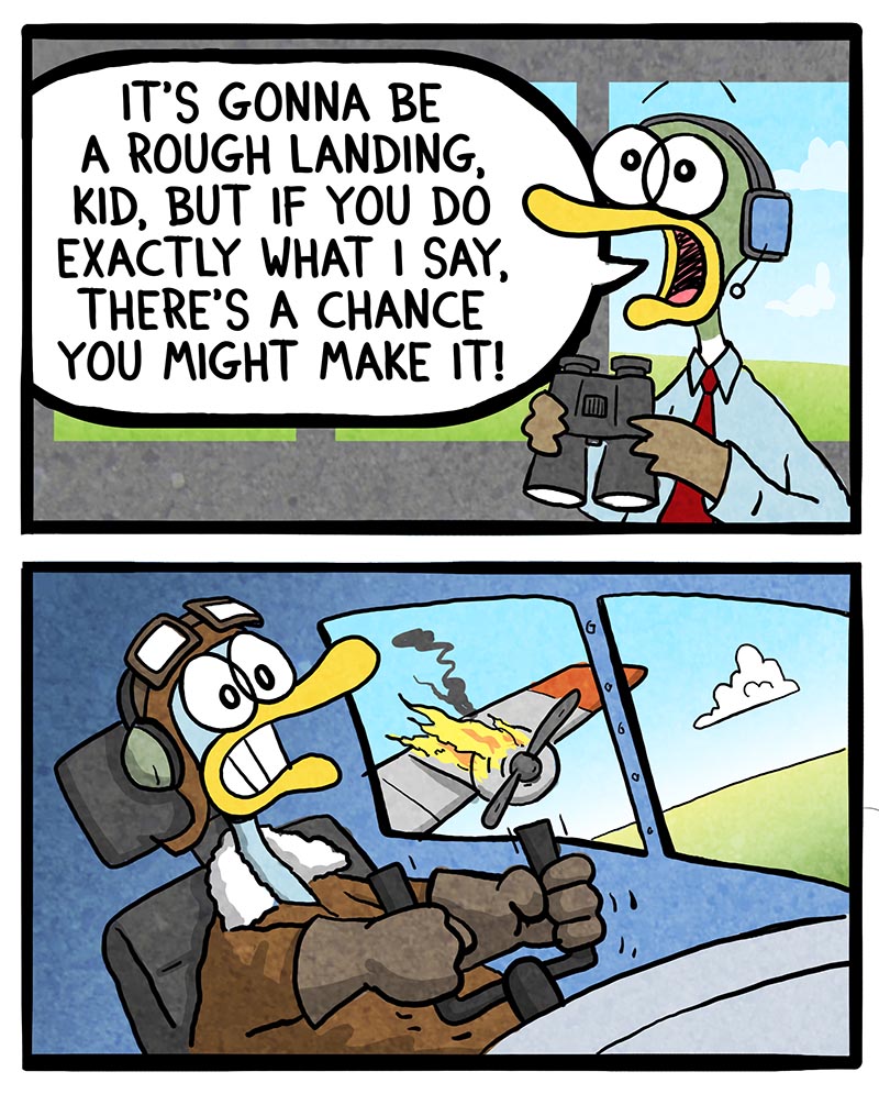 https://cdn.tinyview.com/fowl-language/2023/05/17/talk-them-down/talk-them-down-1.jpg