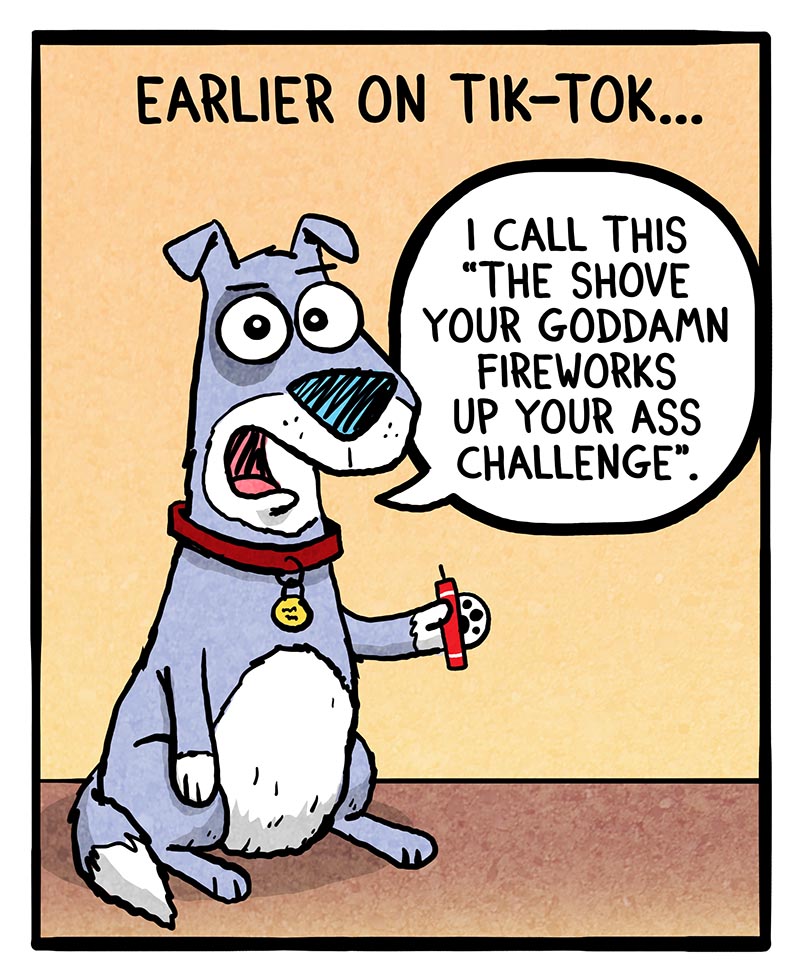 https://cdn.tinyview.com/fowl-language/2023/07/03/fourth-of-july-injuries/4th-of-july-injuries-2.jpg