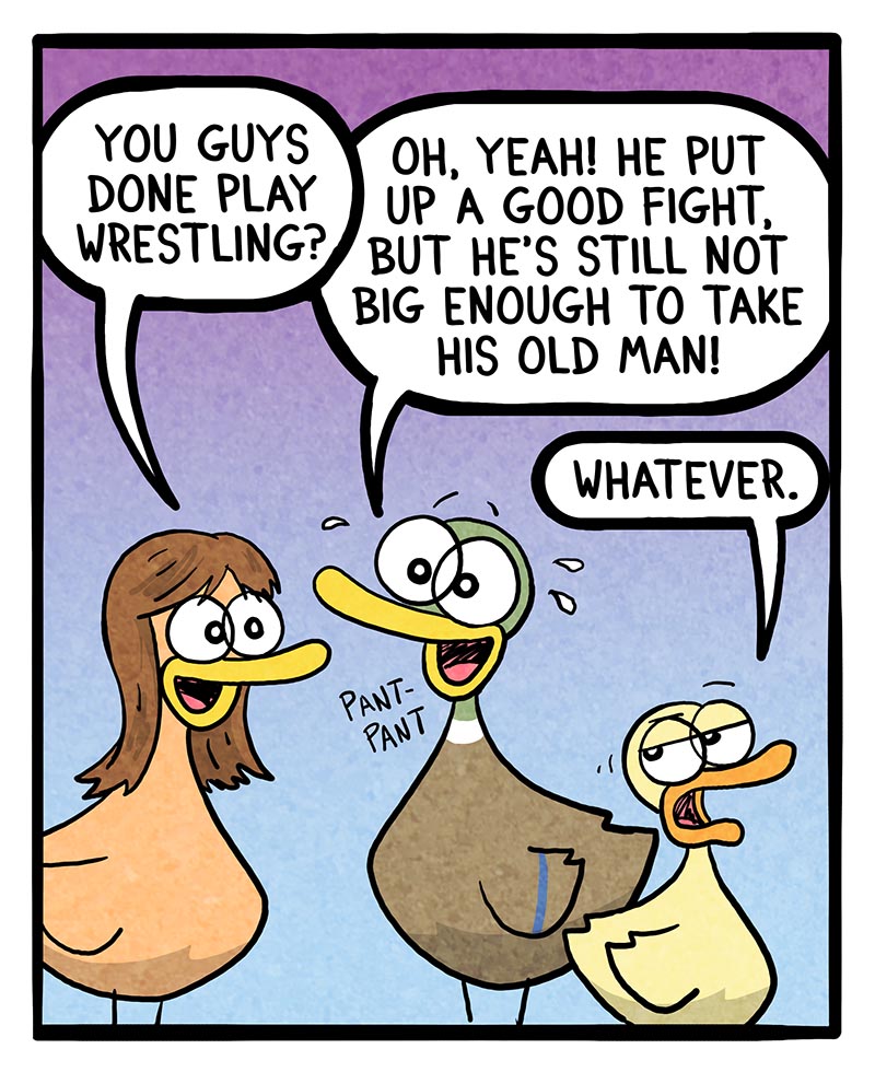https://cdn.tinyview.com/fowl-language/2023/07/09/not-bigger-than-dad-yet/Not-bigger-than-dad-yet-1.jpg