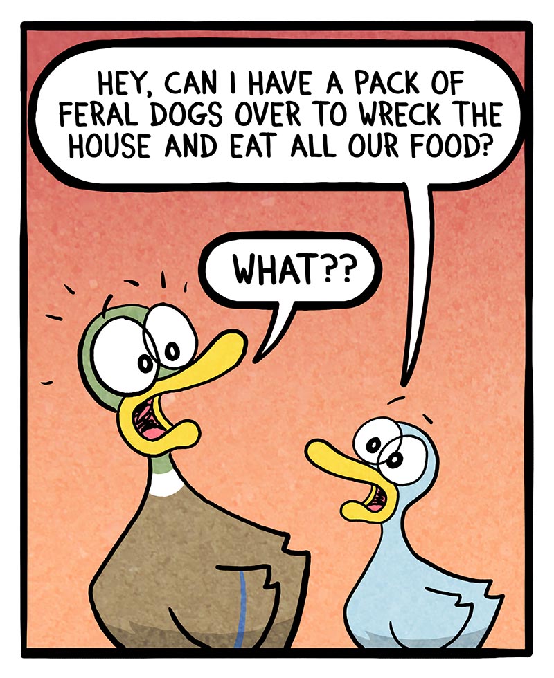 https://cdn.tinyview.com/fowl-language/2023/07/14/feral/feral-1.jpg
