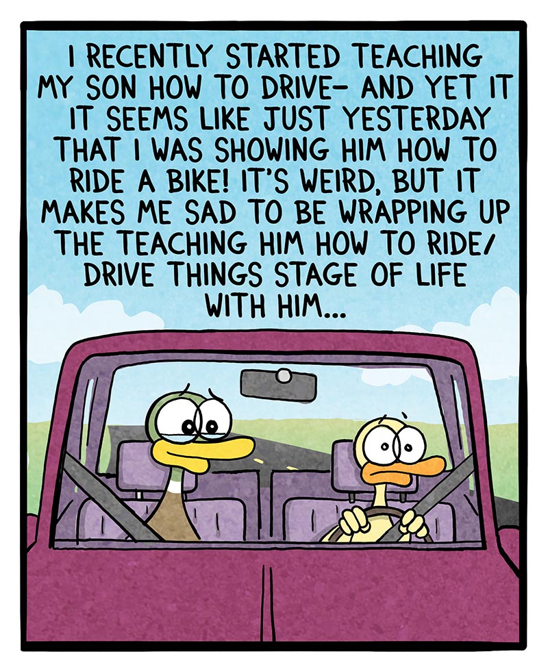 https://cdn.tinyview.com/fowl-language/2023/07/28/learning-to-drive/learning-to-drive-1.jpg