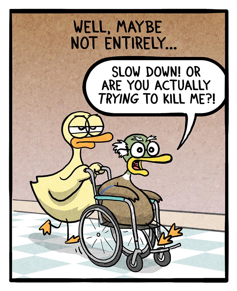 https://cdn.tinyview.com/fowl-language/2023/07/28/learning-to-drive/learning-to-drive-2.jpg
