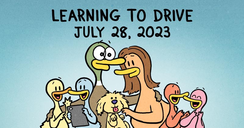 Learning To Drive