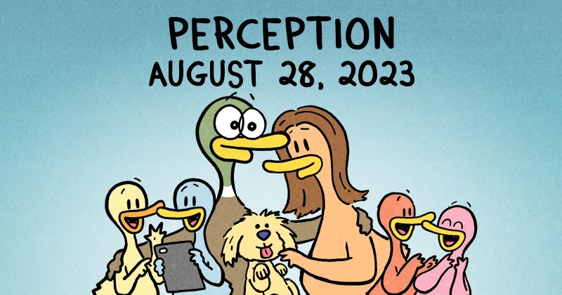 Perception