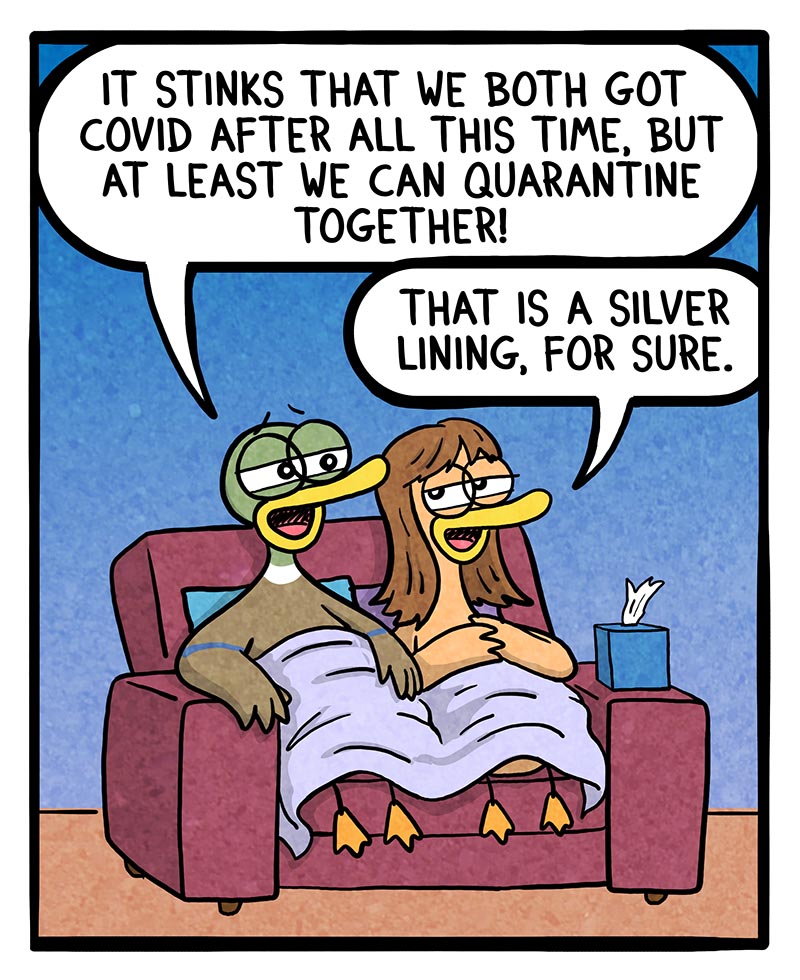 https://cdn.tinyview.com/fowl-language/2023/08/31/silver-lining/Silver-lining-1.jpg