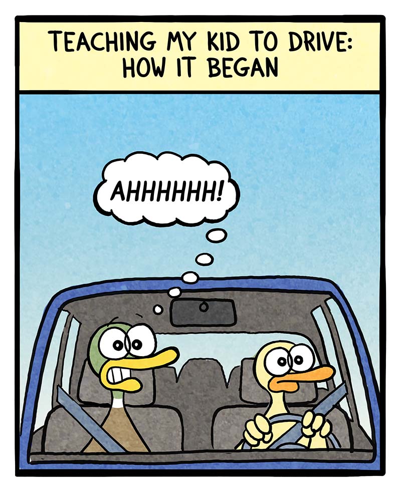 https://cdn.tinyview.com/fowl-language/2023/09/17/driving-lessons/driving-lessons-1.jpg