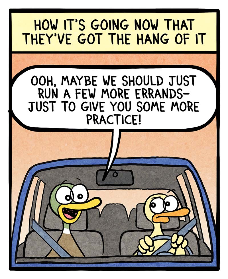 https://cdn.tinyview.com/fowl-language/2023/09/17/driving-lessons/driving-lessons-2.jpg