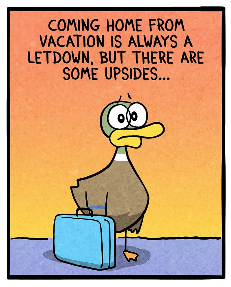 https://cdn.tinyview.com/fowl-language/2023/09/19/home-from-vacation/home-from-vacation-1.jpg