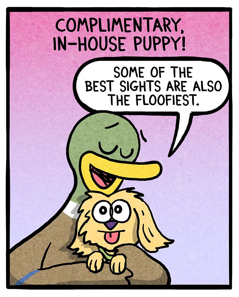 https://cdn.tinyview.com/fowl-language/2023/09/19/home-from-vacation/home-from-vacation-4.jpg