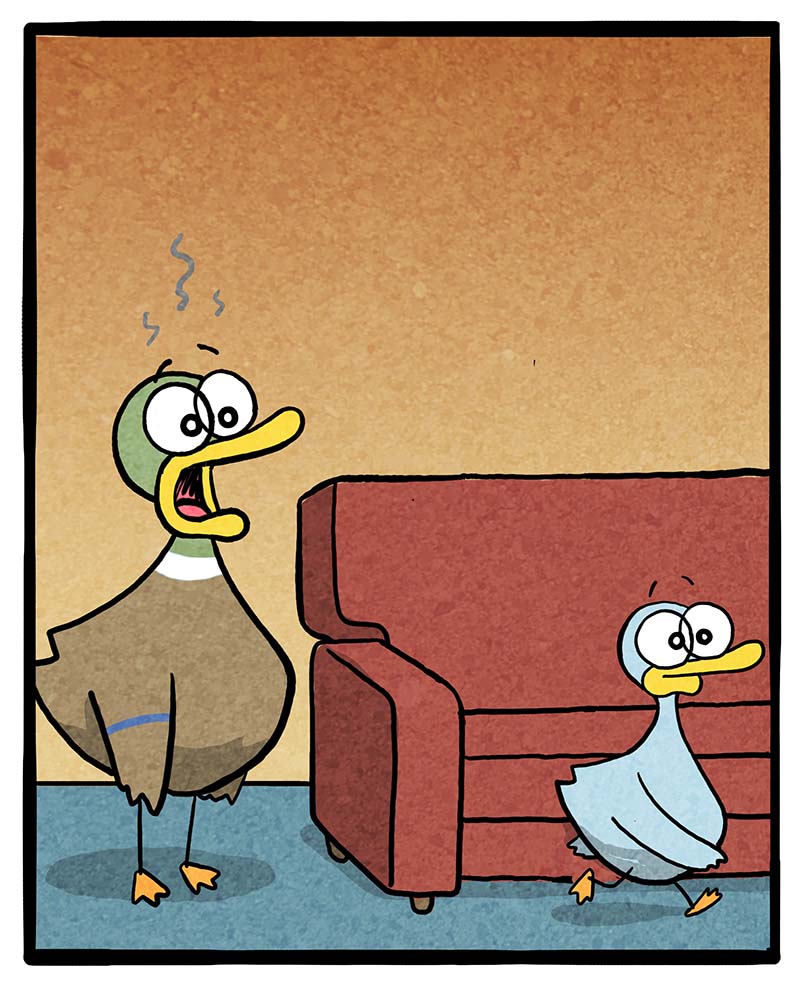 https://cdn.tinyview.com/fowl-language/2023/09/22/lowered-expectations/lowered-expectations-3.jpg