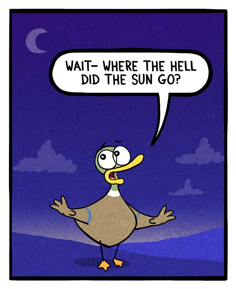 https://cdn.tinyview.com/fowl-language/2023/11/05/the-upside-of-daylight-savings/upsides-of-daylight-savings-2.jpg