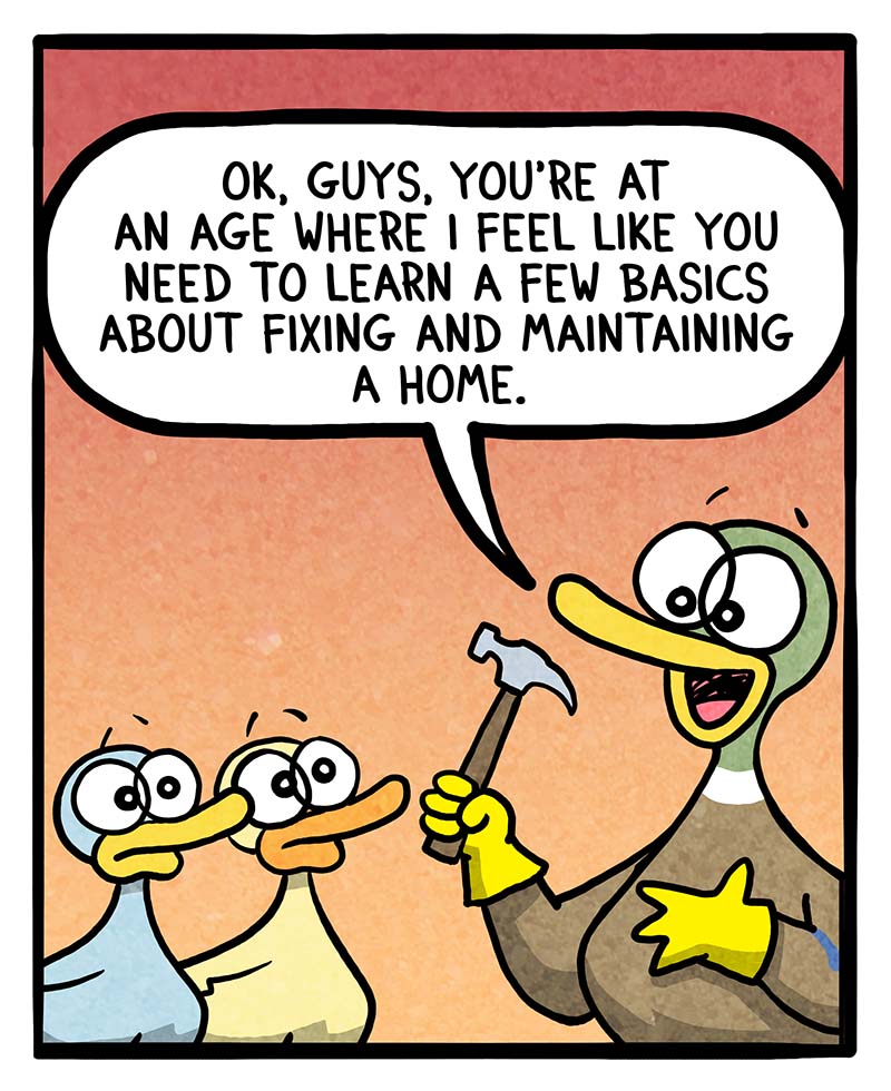 https://cdn.tinyview.com/fowl-language/2023/11/08/teaching-the-basics/Teaching-the-basics-1.jpg