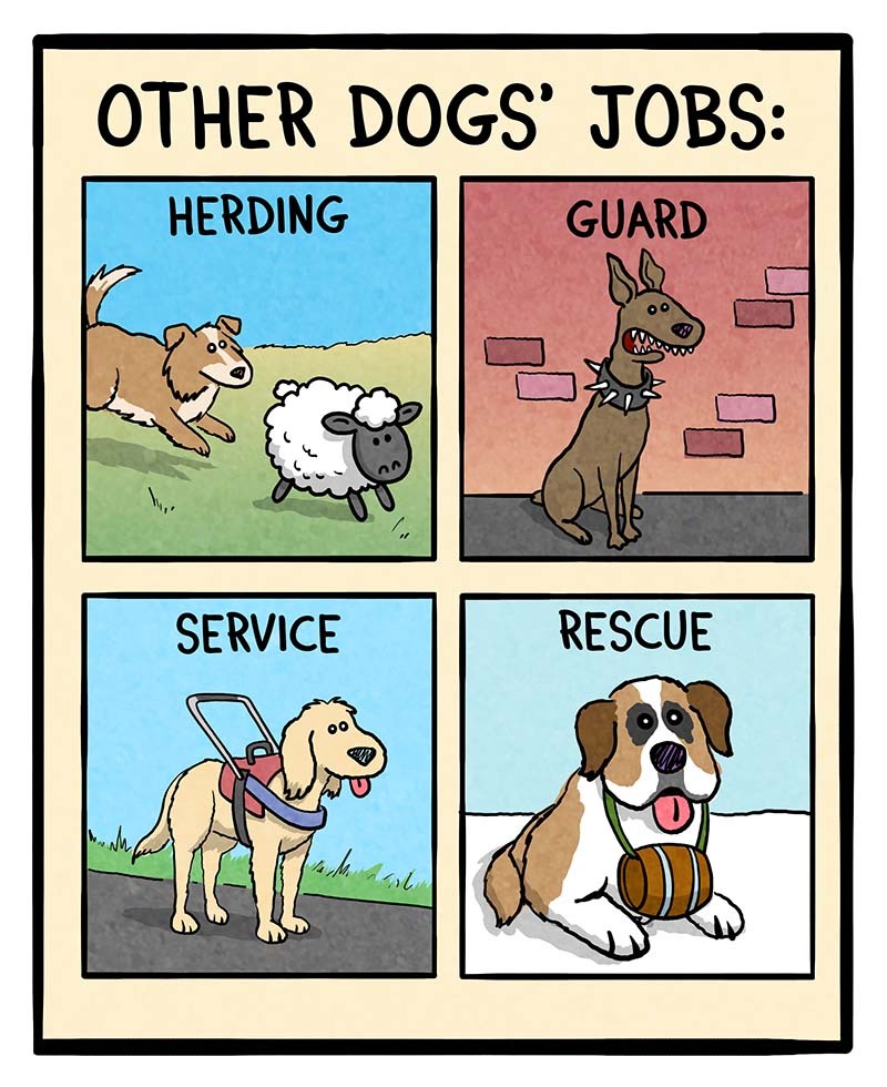 https://cdn.tinyview.com/fowl-language/2023/11/22/dog-jobs/dog-jobs-1.jpg
