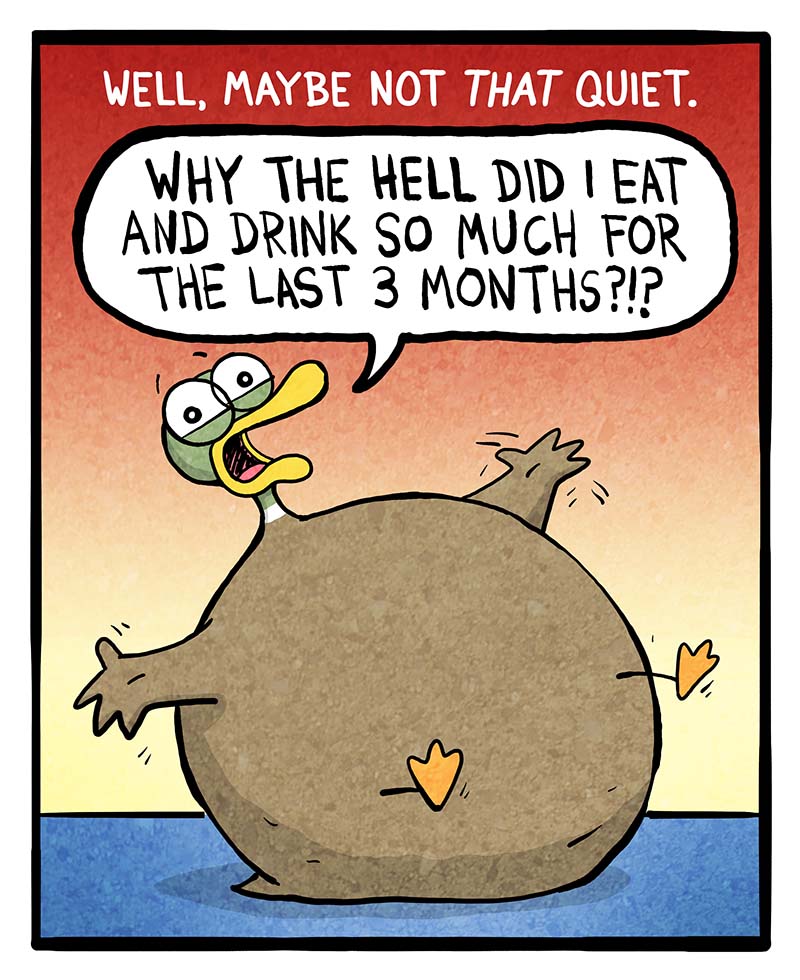 https://cdn.tinyview.com/fowl-language/2024/01/03/quiet-reflection/quiet-reflection-2.jpg