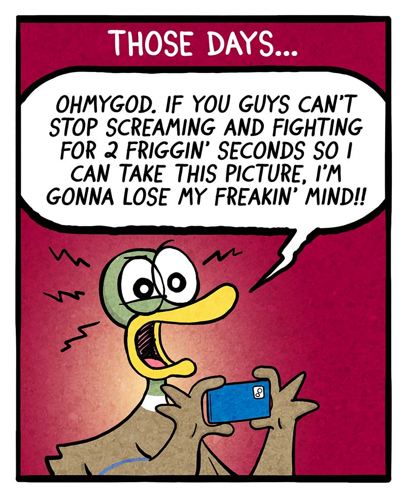 https://cdn.tinyview.com/fowl-language/2024/01/10/nostalgia-pics/nostalgia-pics-2.jpg
