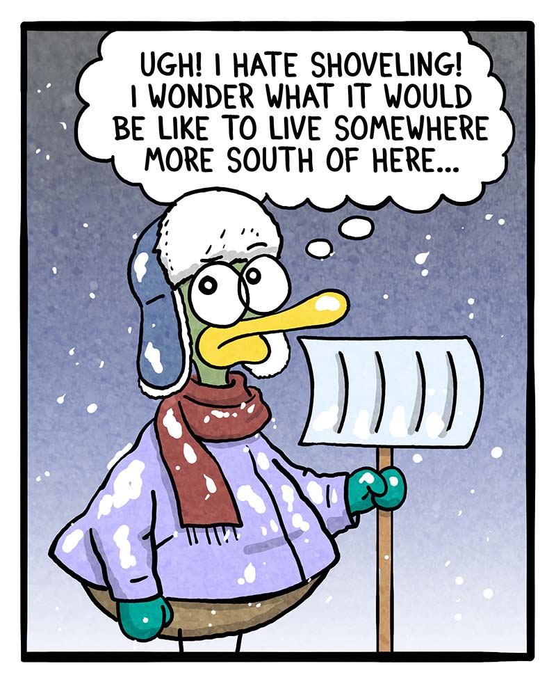 https://cdn.tinyview.com/fowl-language/2024/01/11/north-vs-south/north-vs-south-1.jpg