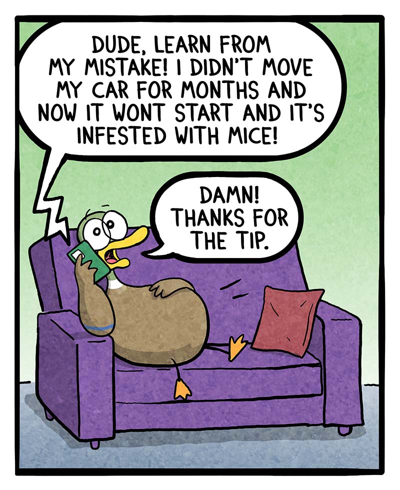 https://cdn.tinyview.com/fowl-language/2024/01/17/car-problems/car-problems-1.jpg