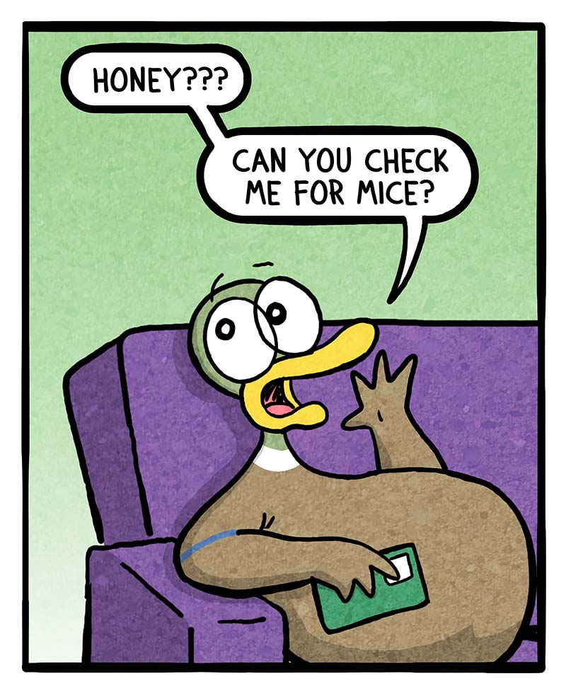 https://cdn.tinyview.com/fowl-language/2024/01/17/car-problems/car-problems-2.jpg