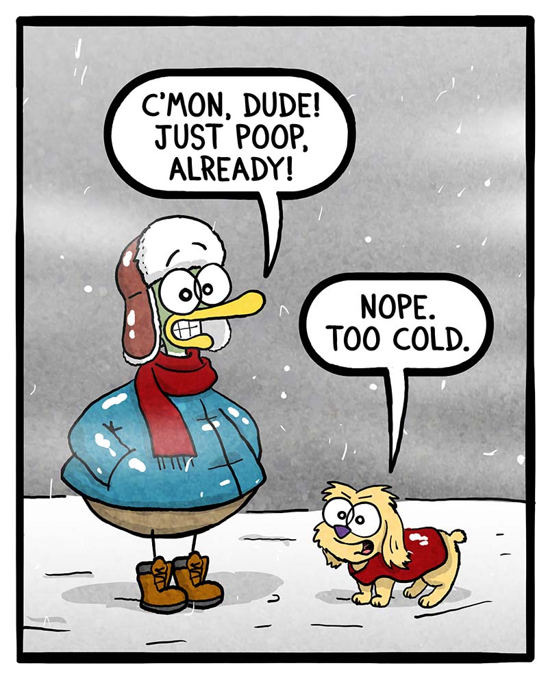 https://cdn.tinyview.com/fowl-language/2024/01/19/winter-pooping/winter-pooping-1.jpg