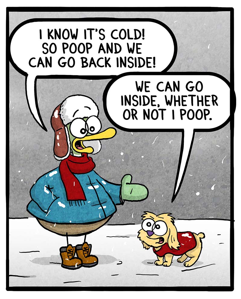 https://cdn.tinyview.com/fowl-language/2024/01/19/winter-pooping/winter-pooping-2.jpg