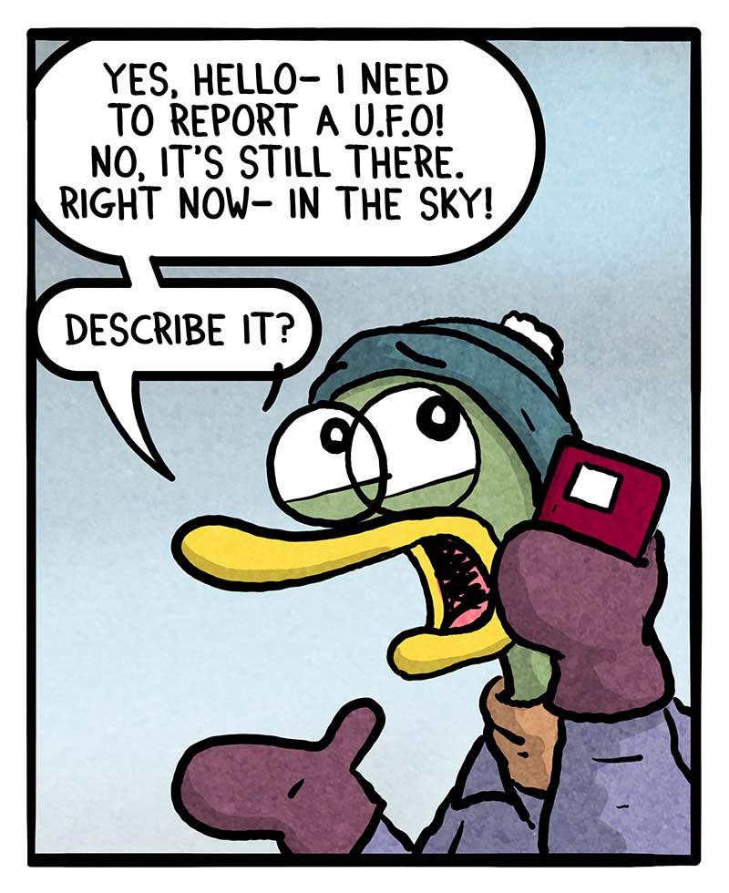 https://cdn.tinyview.com/fowl-language/2024/01/29/u-f-o-sighting/UFO-SIGHTING-1.jpg