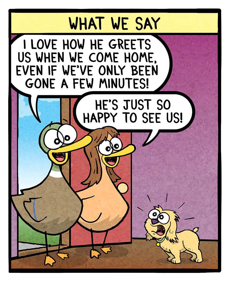 https://cdn.tinyview.com/fowl-language/2024/02/18/dog-s-greeting/dogs-greeting-1.jpg