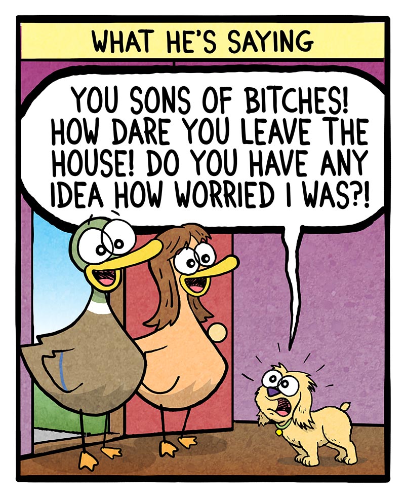 https://cdn.tinyview.com/fowl-language/2024/02/18/dog-s-greeting/dogs-greeting-2.jpg