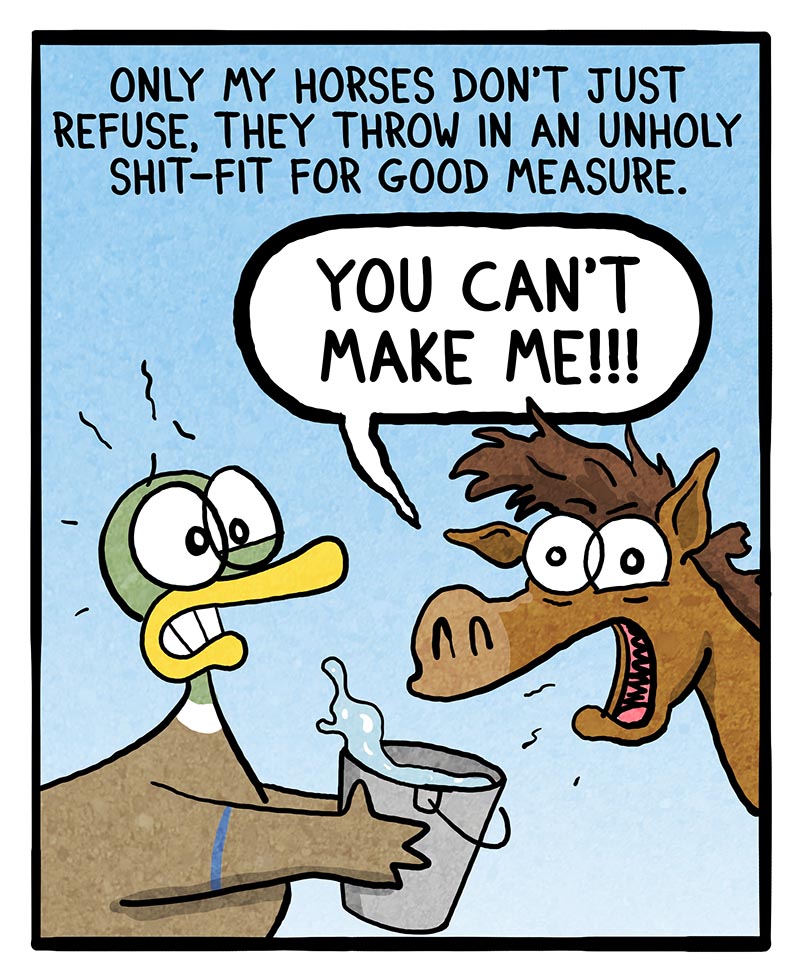 https://cdn.tinyview.com/fowl-language/2024/03/06/leading-a-horse-to-water/lead-a-horse-to-water-2.jpg