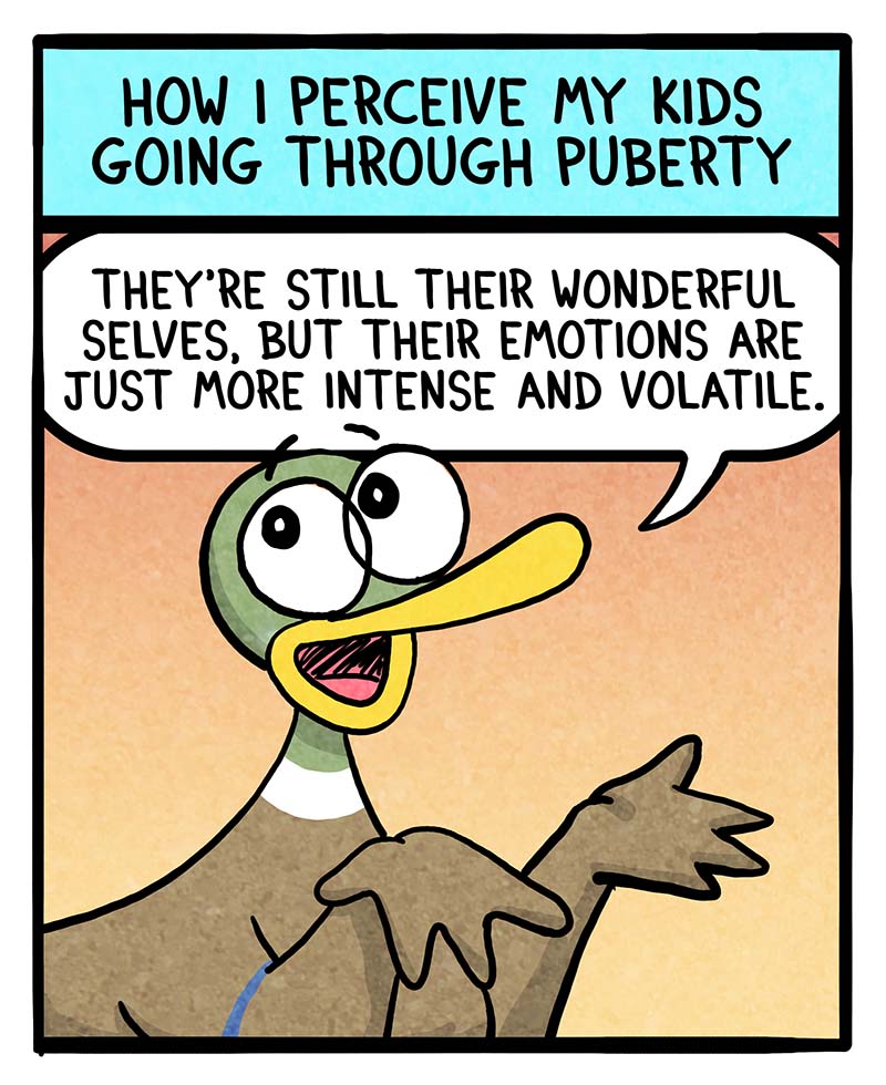 https://cdn.tinyview.com/fowl-language/2024/03/11/perception-of-puberty/perception-of-puberty-1.jpg