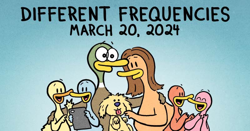 Different Frequencies
