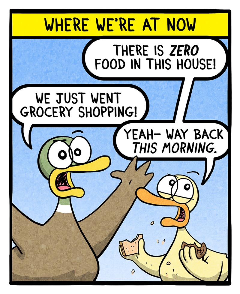 https://cdn.tinyview.com/fowl-language/2024/03/25/amounts-of-food/amounts-of-food-2.jpg