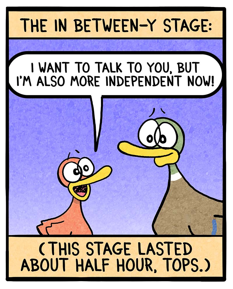 https://cdn.tinyview.com/fowl-language/2024/04/01/attention-from-my-children/attention-from-children-2.jpg