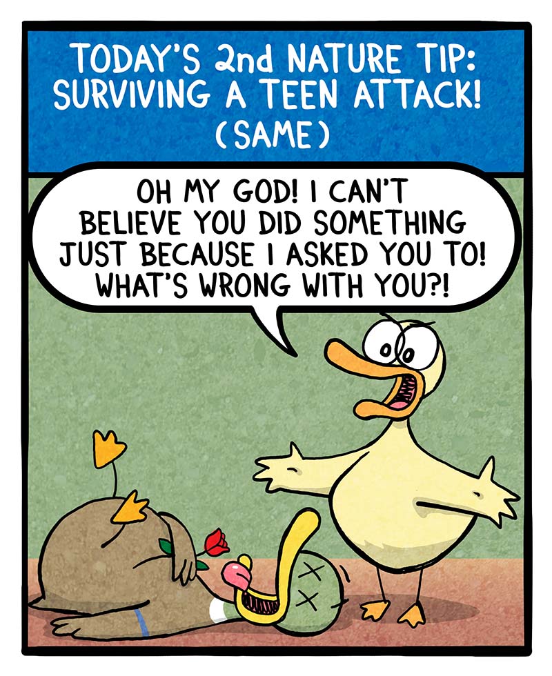 https://cdn.tinyview.com/fowl-language/2024/04/10/nature-survival-tips/NATURE-SURVIVAL-TIPS-2.jpg