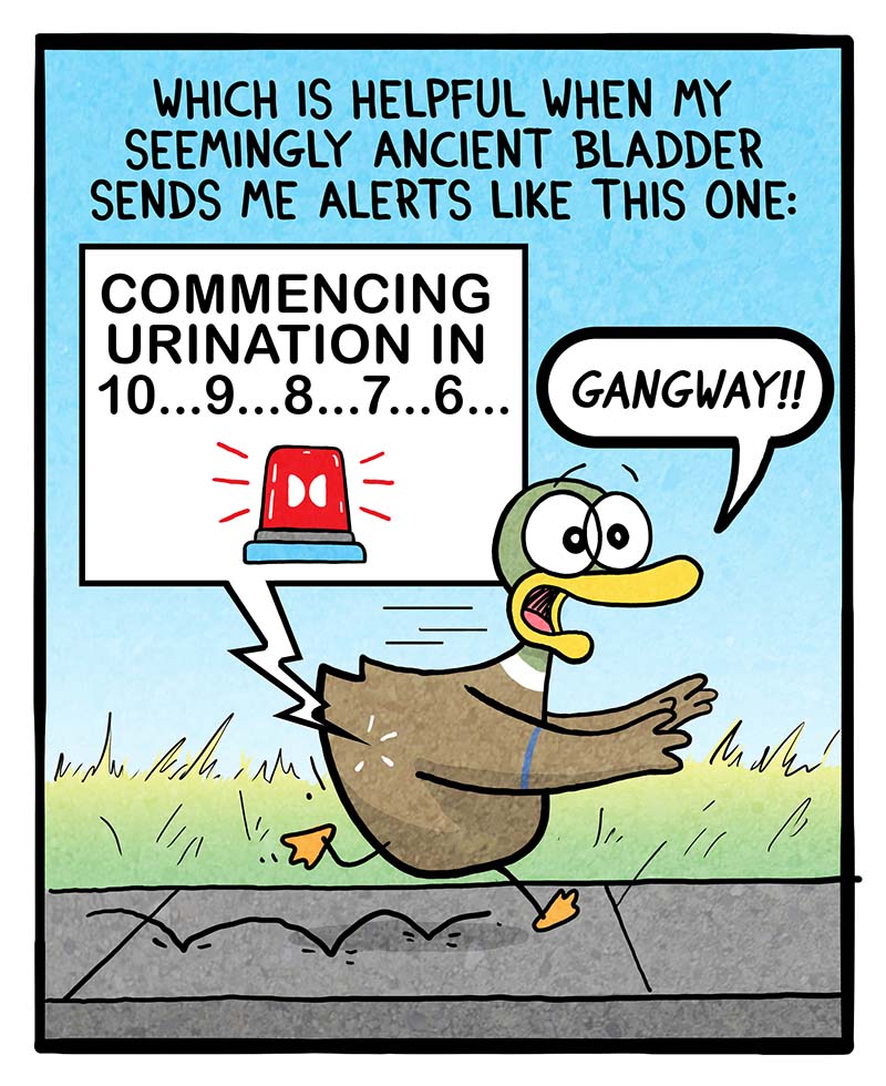 https://cdn.tinyview.com/fowl-language/2024/05/24/feeling-spry/Feeling-Spry-2.jpg
