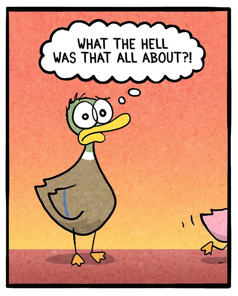 https://cdn.tinyview.com/fowl-language/2024/05/29/dr-jekyll/dr-jekyll-2.jpg