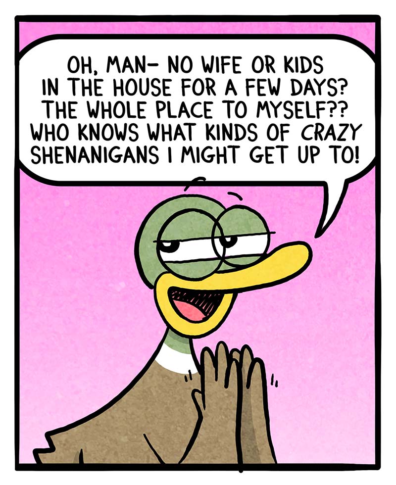 https://cdn.tinyview.com/fowl-language/2024/05/31/house-to-myself/house-to-myself-1.jpg