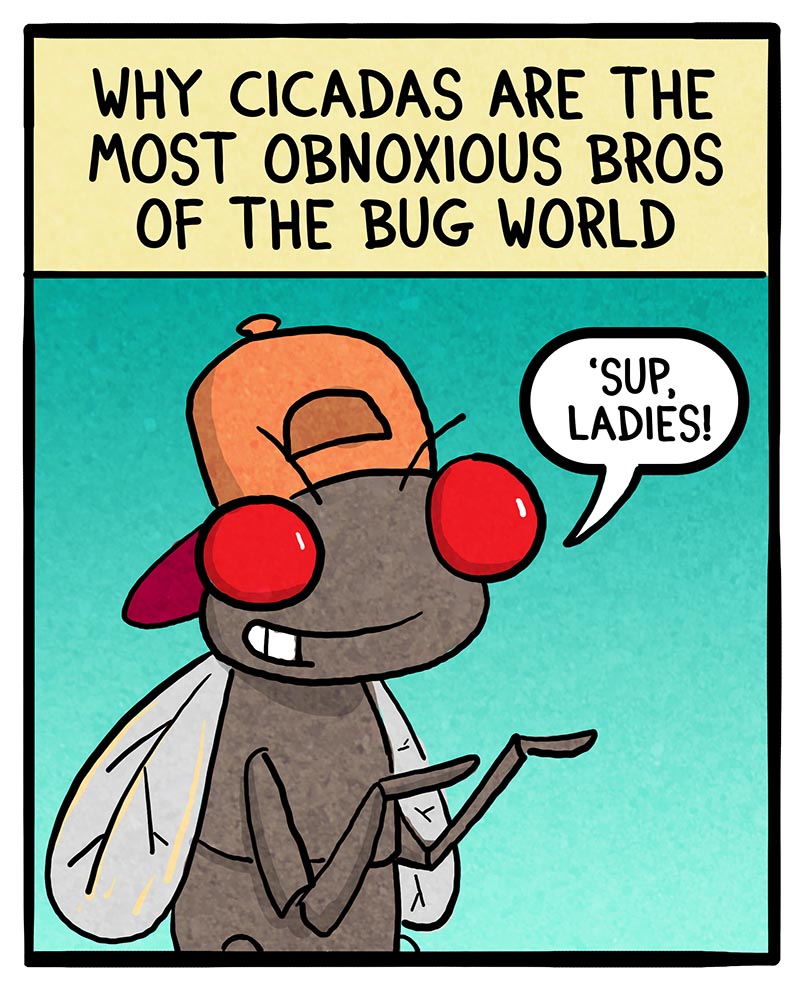https://cdn.tinyview.com/fowl-language/2024/06/07/cicada-bros/cicada-bros-1.jpg