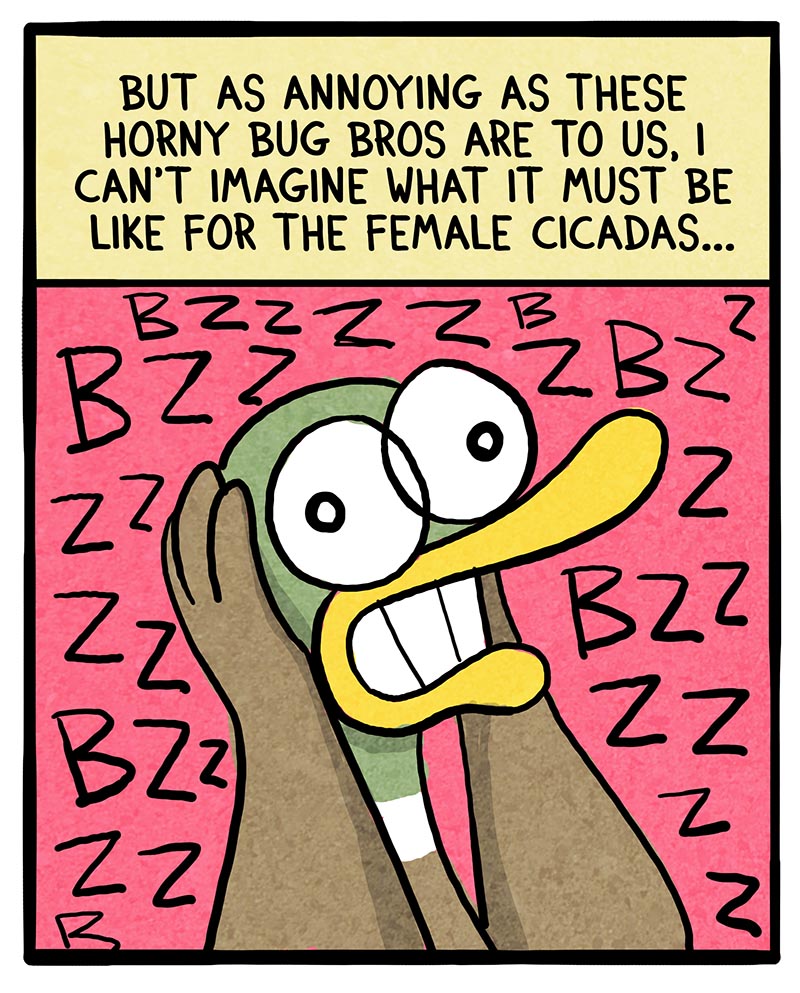 https://cdn.tinyview.com/fowl-language/2024/06/07/cicada-bros/cicada-bros-3.jpg