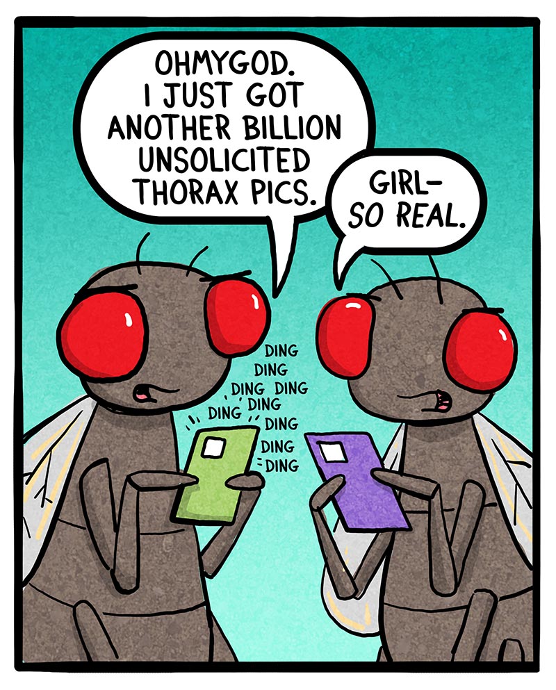 https://cdn.tinyview.com/fowl-language/2024/06/07/cicada-bros/cicada-bros-4.jpg