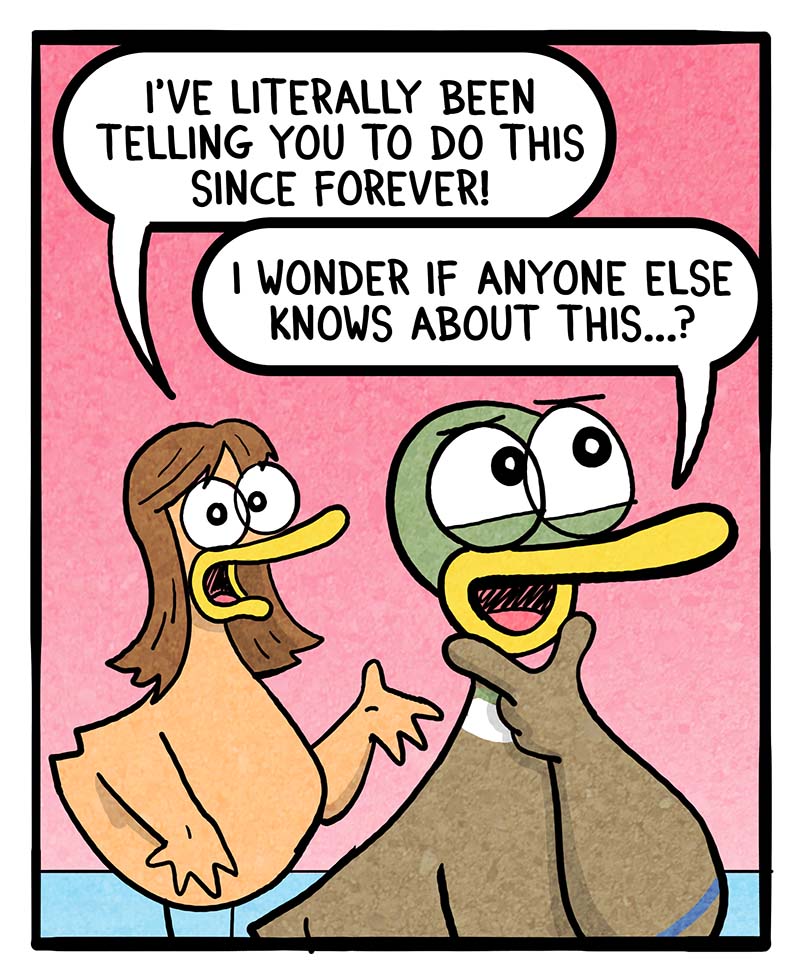 https://cdn.tinyview.com/fowl-language/2024/07/01/a-new-approach/A-New-Approach-2.jpg