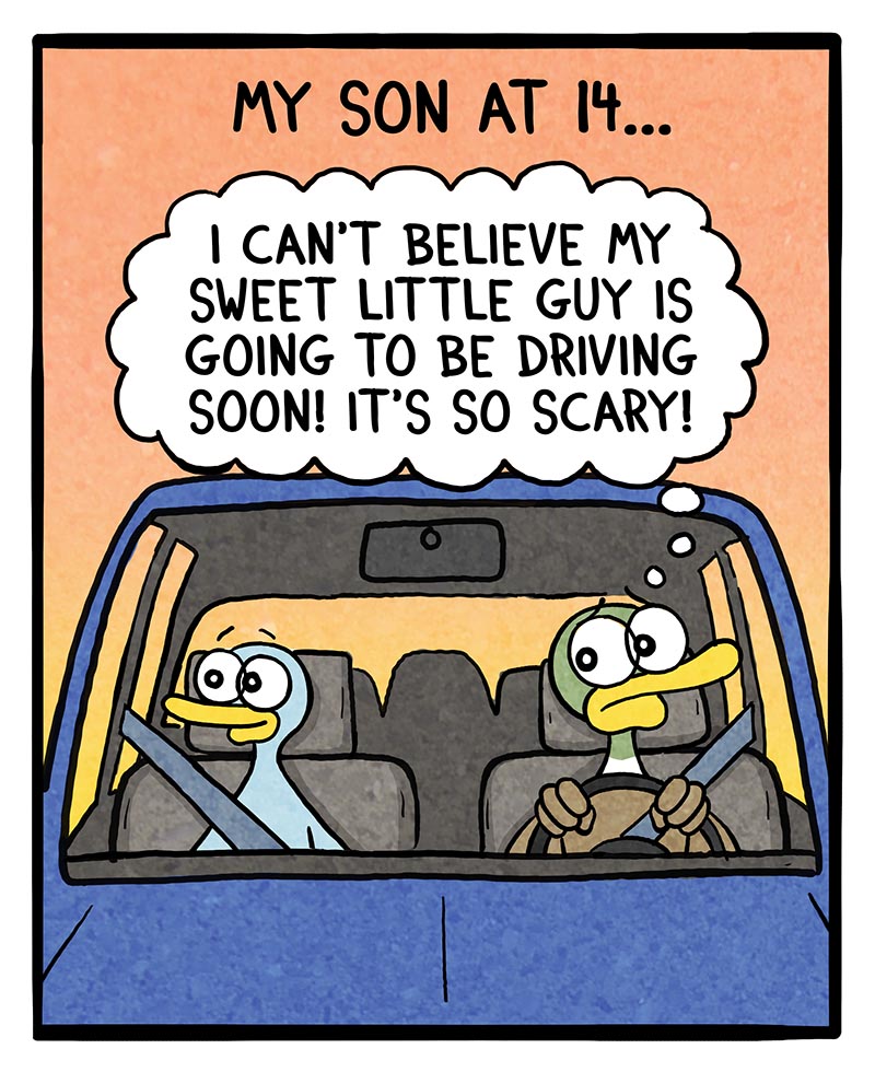 https://cdn.tinyview.com/fowl-language/2024/07/17/getting-their-license/Getting-their-license-1.jpg