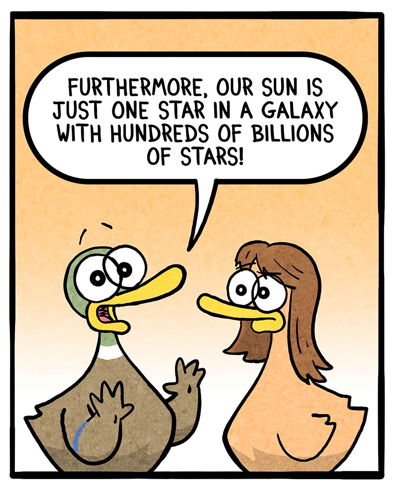 https://cdn.tinyview.com/fowl-language/2024/07/22/perspective/Perspective-2.jpg