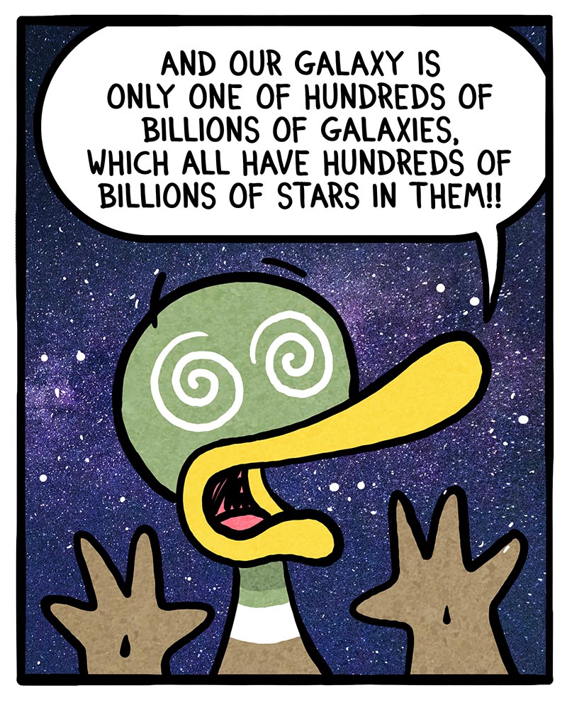 https://cdn.tinyview.com/fowl-language/2024/07/22/perspective/Perspective-3.jpg