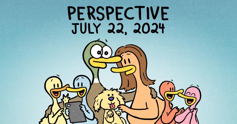 Perspective