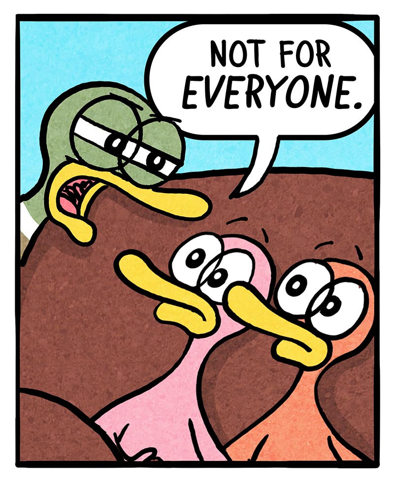 https://cdn.tinyview.com/fowl-language/2024/07/29/late-summer-nights/late-summer-nights-2.jpg